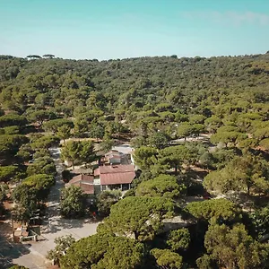Ladouceur Camping Ramatuelle